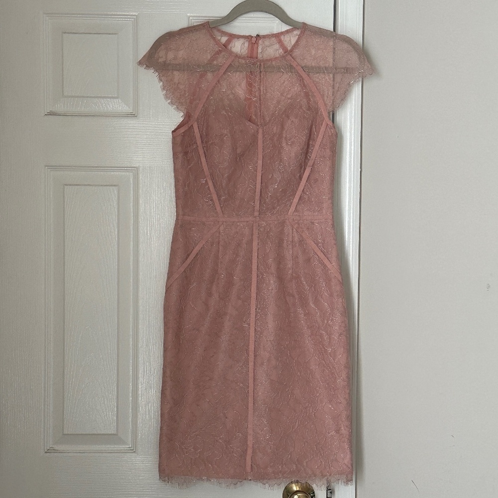 Monique Lhuillier Illusion Neckline Lace Blush Pink Cocktail Wedding Dress Sz 2
